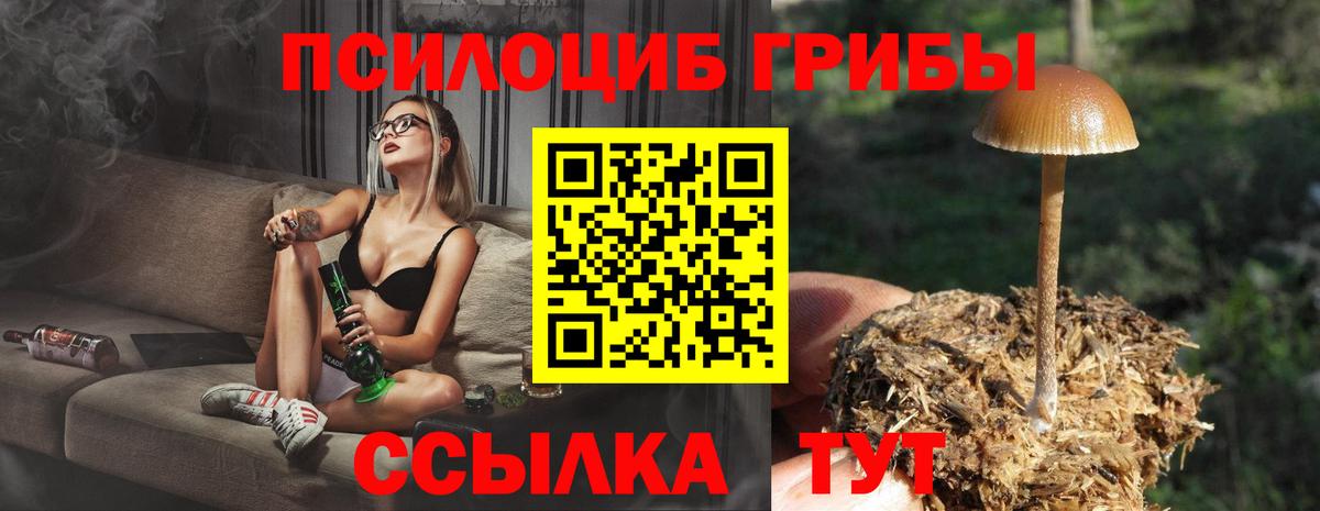Галлюциногенные грибы MAGIC MUSHROOMS Кизляр